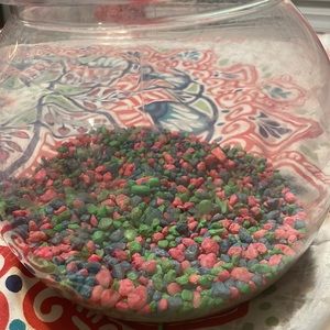 I’m am selling a small aquarium with a PLASTIC plant and a SpongeBob pineapple